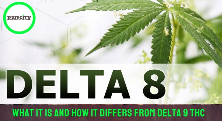 Experience the Best of Delta 8 THC at Puffcity Smoke Shop Near Budd Lake