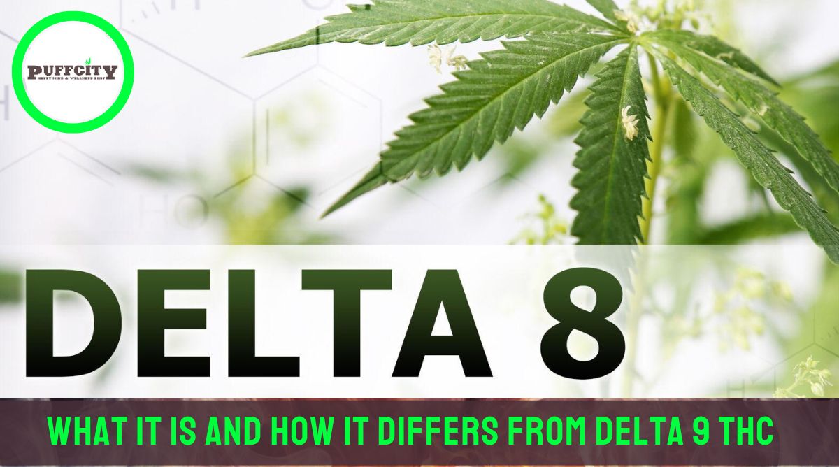 Best Delta 8 THC at Puffcity Smoke Shop Near Budd Lake